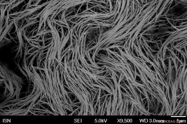 Innovative Research Enables Nanosensors to Detect Fibrinogen, Insulin, and Biomarkers