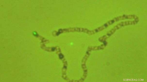Engineers Develop Bubble-Pen for Precise Nanoparticle Writing
