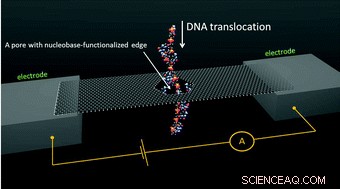 NIST Demonstrates Rapid, Precise DNA Sequencing via Graphene Nanopore Simulation