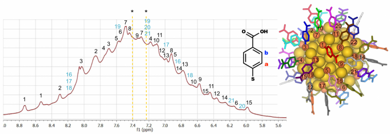 New Research Unveils Detailed Structure of Gold Nanoparticles in Water