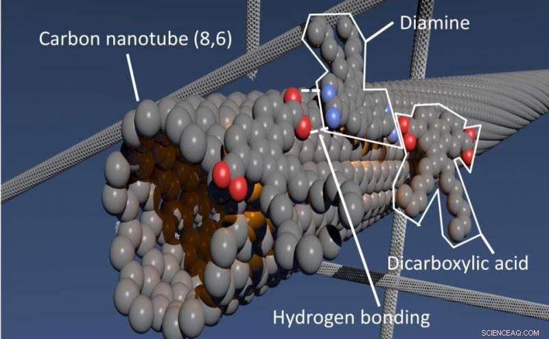 Innovative Process Simplifies Carbon Nanotube Isolation