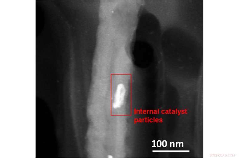 Microwave Oven Cleans Carbon Nanotubes, Reducing Iron Residues