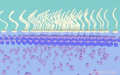 Revolutionary Nanosheet Growth Method Promises to Transform the Nanotechnology Industry