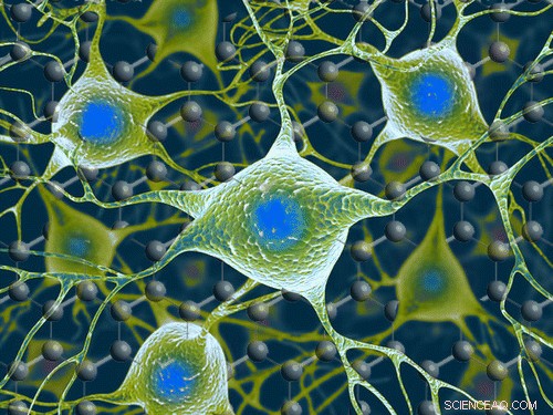 Graphene Proven Safe for Neuron Interaction in the Brain
