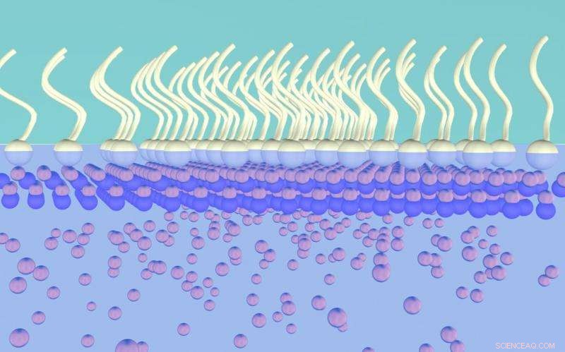 Revolutionary Nanosheet Growth Technique Promises Breakthrough in Nanomaterial Production