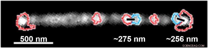 Low Protein Levels Trigger Nanoparticle Clumping, Revealing Novel Aggregation Mechanisms