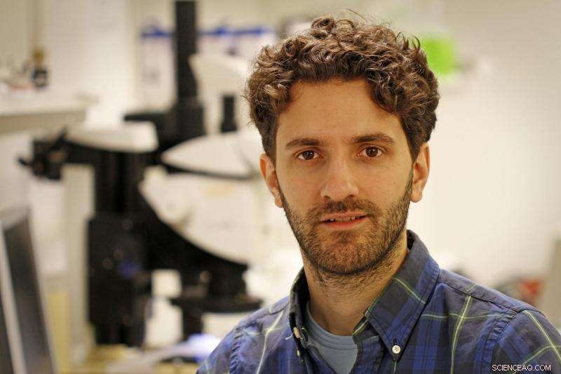 New Nanogap Fabrication Technique Promises Breakthroughs in Nanoelectronics