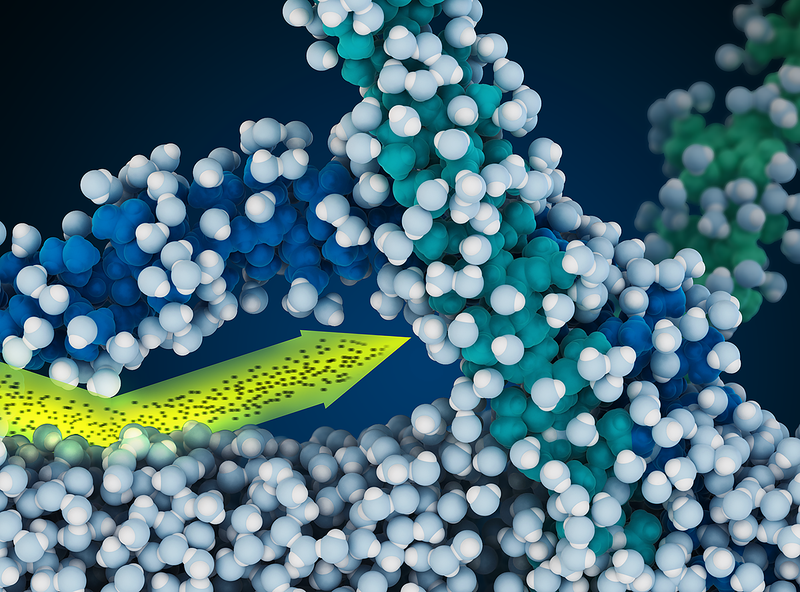 Advanced Nanogel Structures at the Air/Water Interface: Insights from Neutron Reflectivity