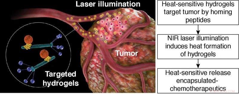 Innovative Hydrogel Nanoplatform Detects and Shrinks Tumors in Mice Using Targeted Photothermal Therapy