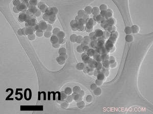 Study Confirms Brief Exposure to Industrial Nanoparticles Is Not a Safety Threat