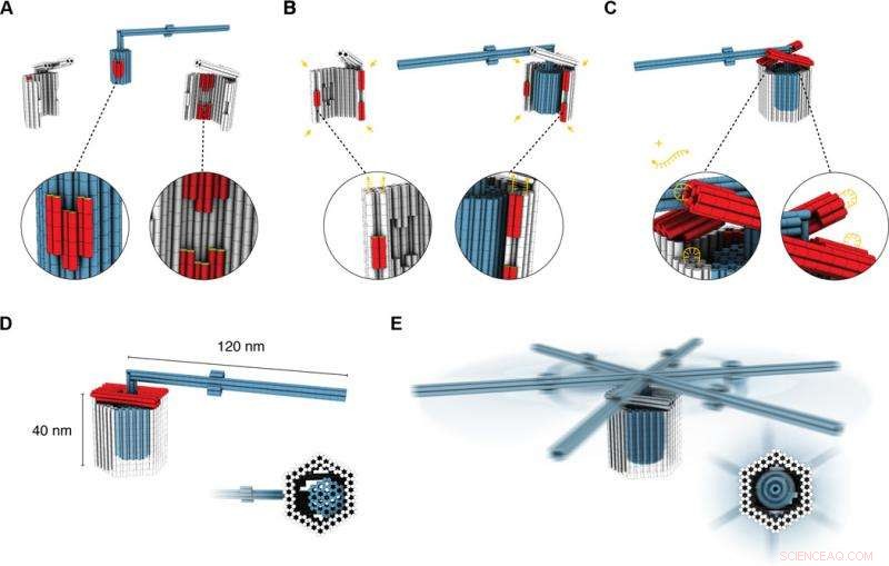 Scientists Build Precision Nanoscale Rotary Device from 3D DNA Components
