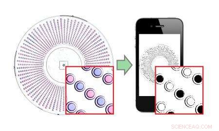 Accurate Molecular Counting with an Everyday Cell Phone