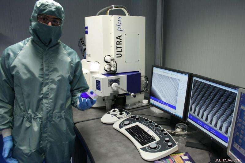 Advanced Nanostructure Biosensors for Early Detection of Diseases and Allergens