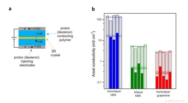 Advanced 2D Materials Enable Precise Hydrogen Isotope Separation via Graphene and Boron Nitride Filters