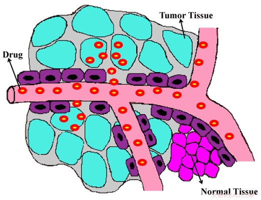 Targeted Cancer Therapy: How Drug‑Loaded Nanocarriers Enhance Tumor Drug Delivery