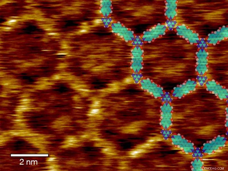 Illuminating Molecular Architectures for Advanced Organic Photovoltaics