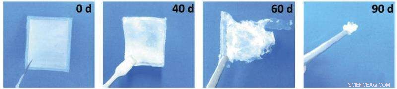 Biodegradable Nanogenerator Operates Inside the Body Without External Power Source