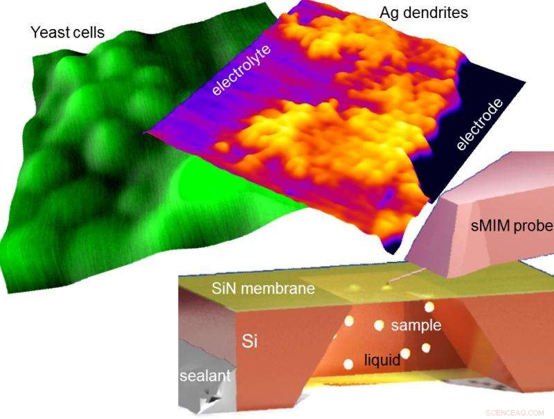 Near-Field Microwave Imaging Unveils Nanoscale Liquid Processes Under Natural Conditions