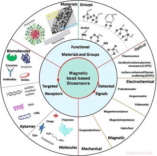 Iron Oxide Nanoparticles: Advancing Targeted Drug Delivery and Biomedical Innovation