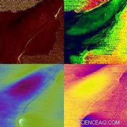 Advanced Mapping Techniques Reveal New Insights into Breast Cancer Cells