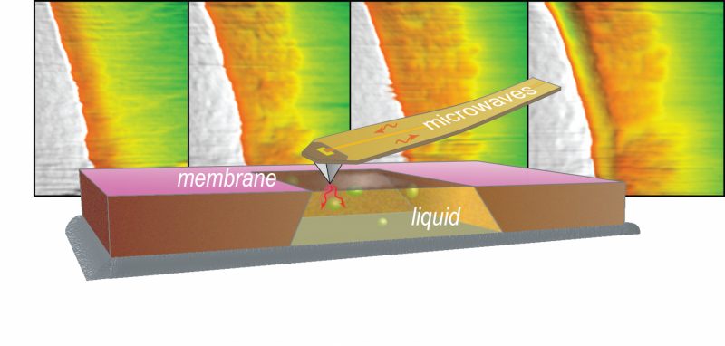 Microwave Microscopy Unveils Nanoscale Processes: A Team’s Innovative Approach