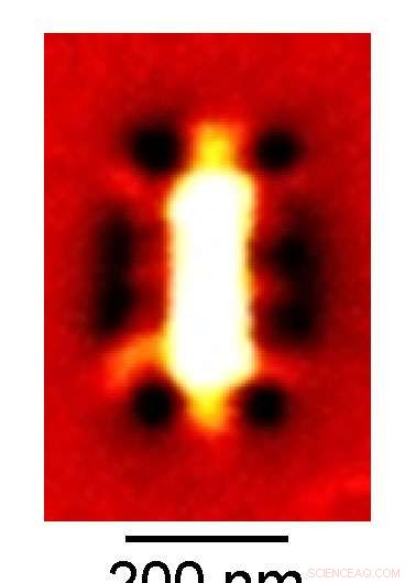 Capturing Infrared Light with Graphene Nanostructures: A Breakthrough