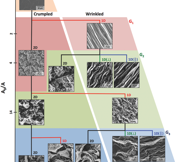 How Wrinkles and Crumples Enhance Graphene’s Performance