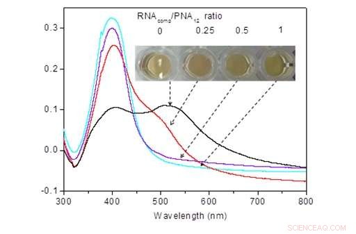 Rapid, Label-Free Colorimetric Detection of c‑Myc mRNA Using Nanotechnology
