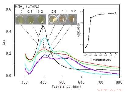 Rapid, Label-Free Colorimetric Detection of c‑Myc mRNA Using Nanotechnology