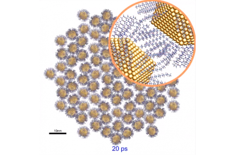 Revolutionary Device Delves Deep into Gold Nanoparticles  Properties