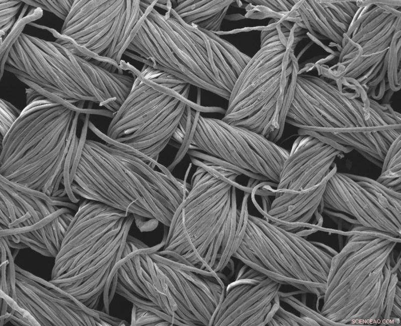 Nano-Enhanced Fabrics Self-Clean Under Light—End the Need for Washing