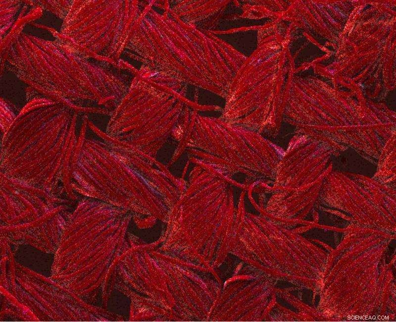 Nano-Enhanced Fabrics Self-Clean Under Light—End the Need for Washing