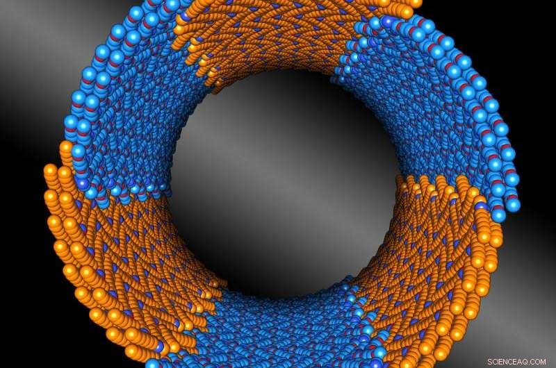 New Design Principle Unveiled for Precise Nanostructure Construction