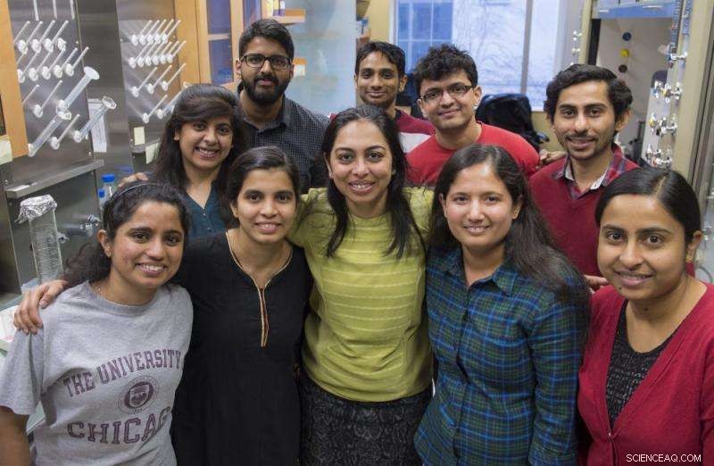 Engineered DNA Nanodevices Perform On‑Cell Bioanalytical Chemistry