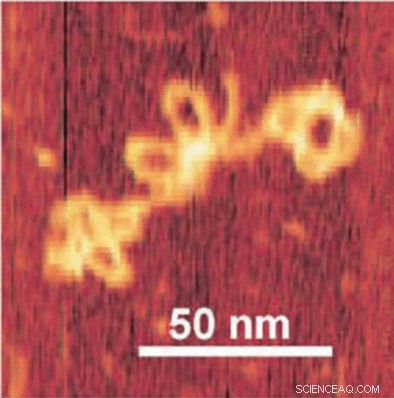 DNA-Based Nanostructures Enable Precise Movable Parts in Nanomachines