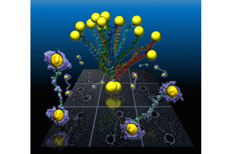 Revolutionary DNA Imaging Paves Way for Nanoscale Device Construction