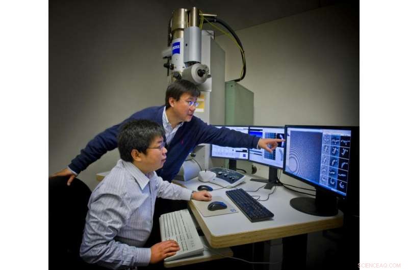 Revolutionary DNA Imaging Paves Way for Nanoscale Device Construction