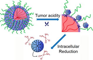 Nanoparticles Release Targeted Anticancer Cluster Bombs for Precise Tumor Therapy
