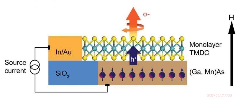 Berkeley Lab Advances Valleytronics Toward Practical Devices