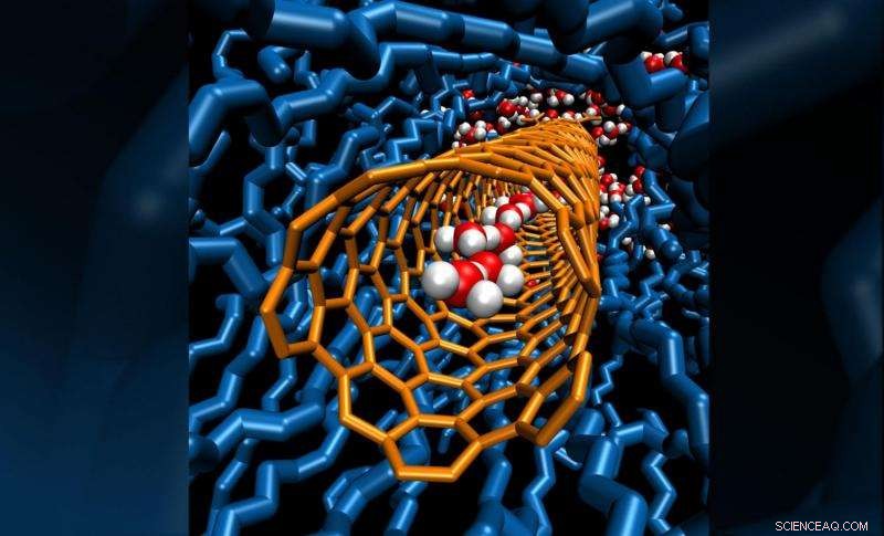 Tiny Carbon Nanotubes Drive Fast Transport Breakthroughs