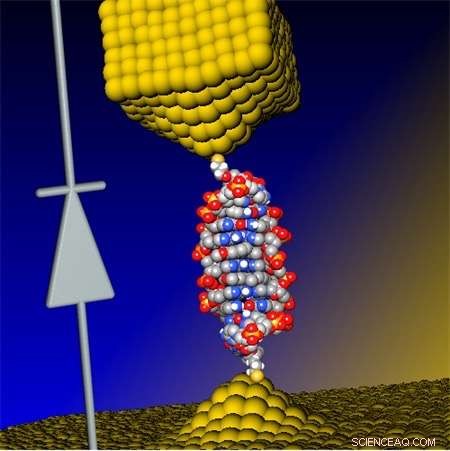 Researchers Unveil the Smallest Diode Ever – a Single‑Molecule Breakthrough