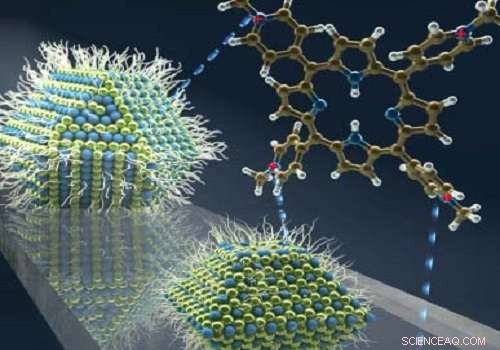 Enhancing Solar Energy Capture with Quantum Dot-Organic Molecule Integration