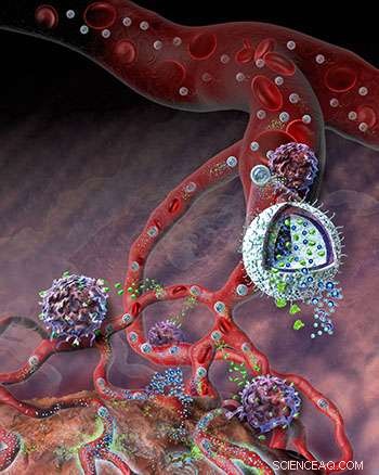 Nanogel Combines Dual-Action Therapy, Advancing Cancer Treatment to Clinical Trials