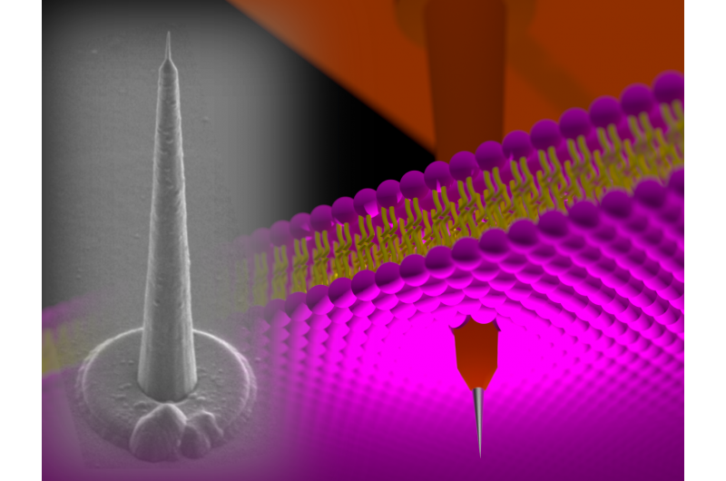 High-Precision Intracellular Recordings with Nanotower Electrodes