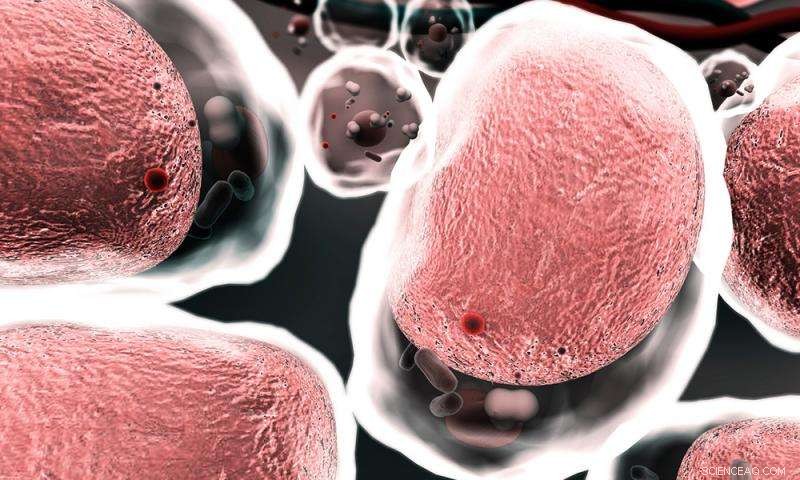 Nanoparticles Offer New Hope for Intestinal Inflammation Treatment, Study Reveals