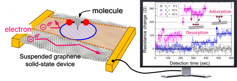 Advanced Graphene Sensor Detects Harmful Indoor Air Pollutants