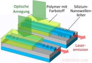 Advanced Organic Laser Source for Biosensor Integration