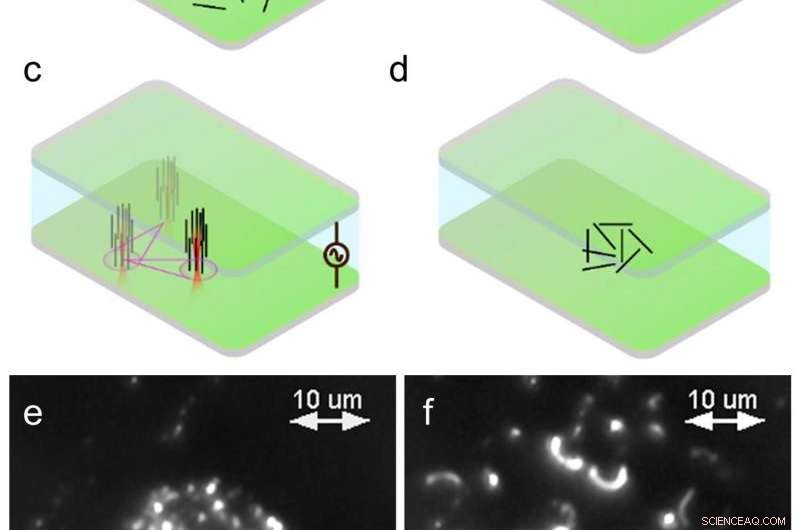 On-Demand Nanotube Forests: A New System with Industrial Potential