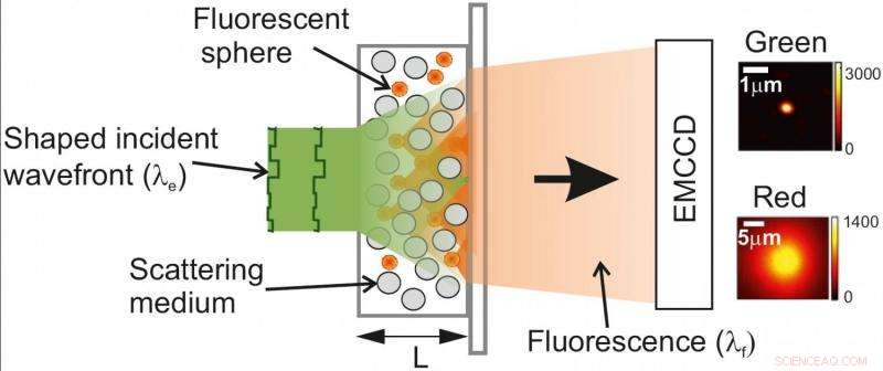 Enhancing Light Transmission Through Opaque Nanoparticle Layers