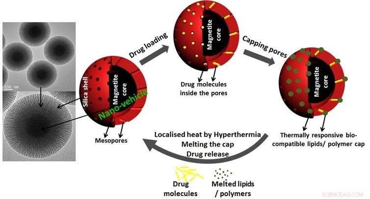 Nanomachines: The Engine That Could Revolutionize Medicine